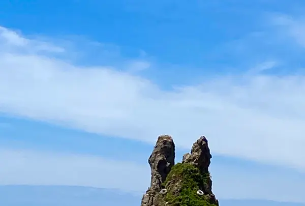 トトロ岩の写真・動画_image_538123