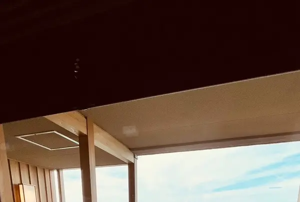 白鷺の湯 能登 海舟の写真・動画_image_538150