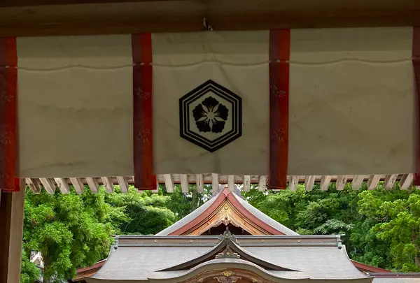 白山比咩神社の写真・動画_image_538176