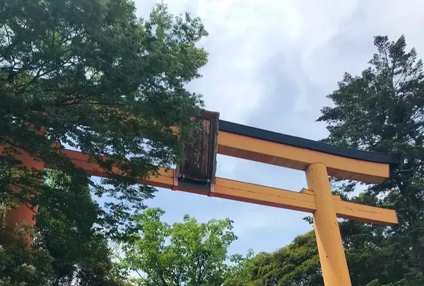 川越氷川神社の写真・動画_image_547806