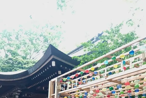 川越氷川神社の写真・動画_image_547808