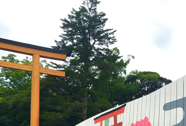 川越氷川神社の写真・動画_image_547813