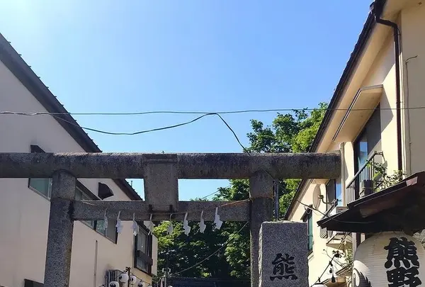 川越熊野神社の写真・動画_image_547856