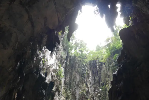  Batu Caves（バトゥ洞窟）の写真・動画_image_548789