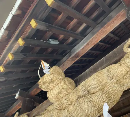 北海道神宮の写真・動画_image_552333