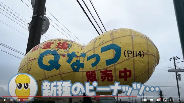 千葉県八街産 高級落花生 ピーナッツ 直売所 黒川商店の写真・動画_image_553042