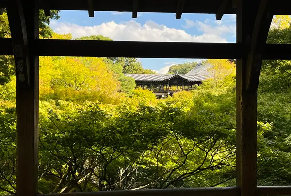 東福寺の写真・動画_image_555145