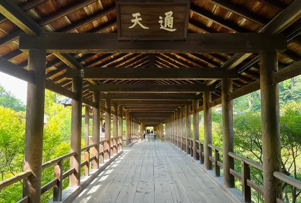東福寺の写真・動画_image_555146
