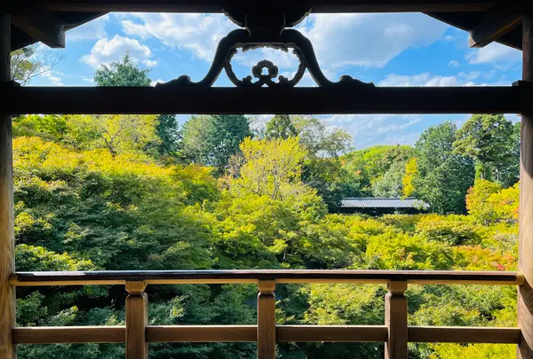 東福寺の写真・動画_image_555147