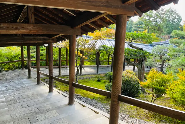東福寺の写真・動画_image_555148