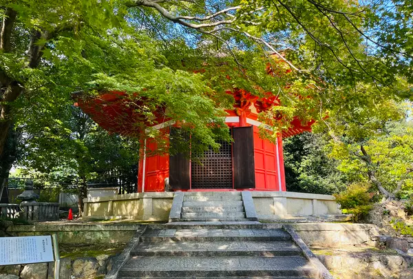 東福寺の写真・動画_image_555150