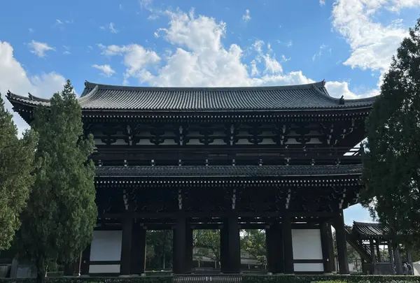 東福寺の写真・動画_image_555158