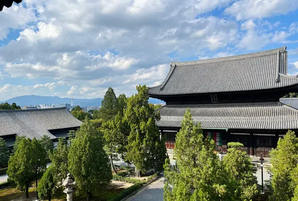 東福寺の写真・動画_image_555162