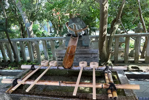 淡島神社の写真・動画_image_555322