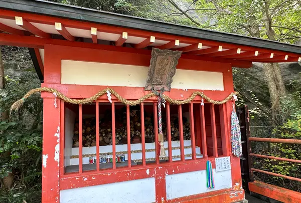 淡島神社の写真・動画_image_555327
