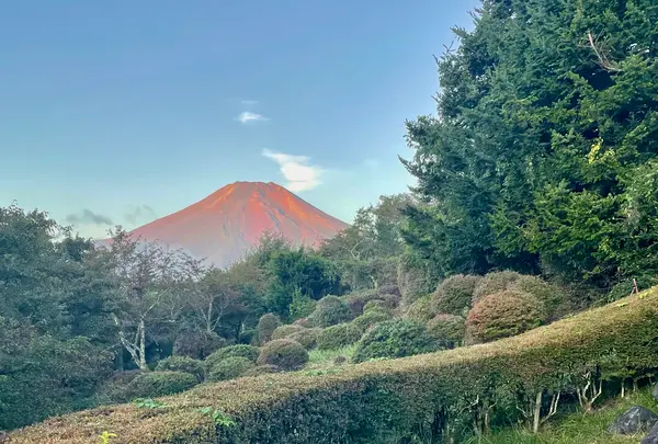 ホテルマウント富士の写真・動画_image_556549