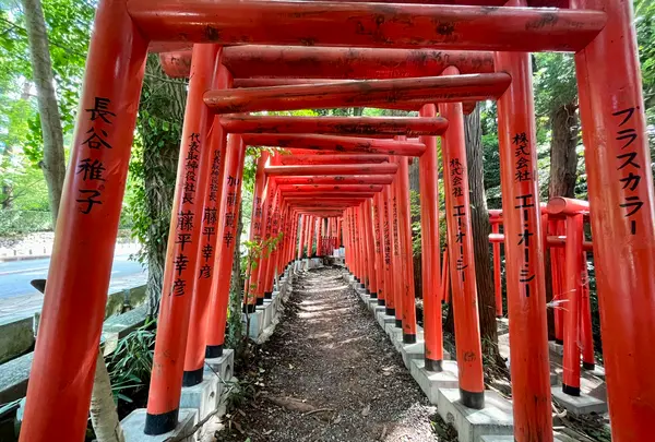石浦神社の写真・動画_image_557398