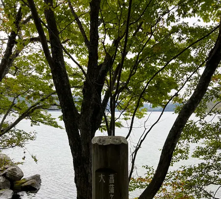 中禅寺湖の写真・動画_image_558684