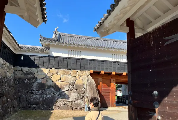 松本城の写真・動画_image_559405