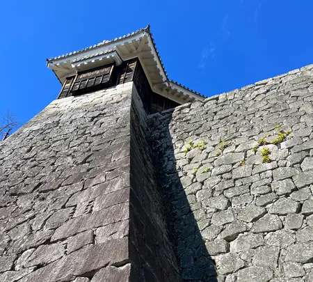 松山城の写真・動画_image_561965