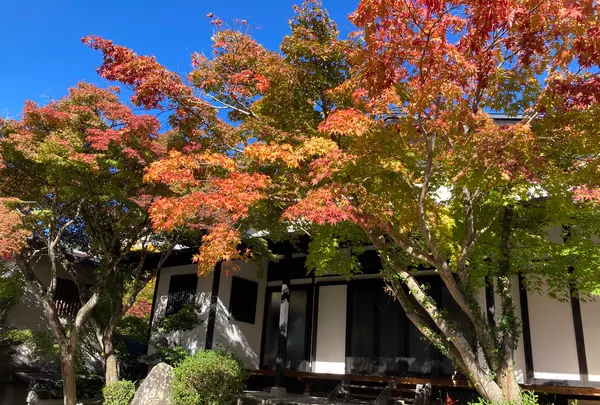 聖天宮西江寺の写真・動画_image_562045