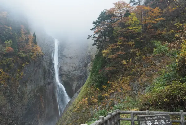 称名滝の写真・動画_image_562209