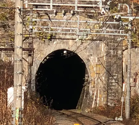 清水トンネルの写真・動画_image_563752