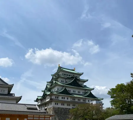 名古屋城の写真・動画_image_564319