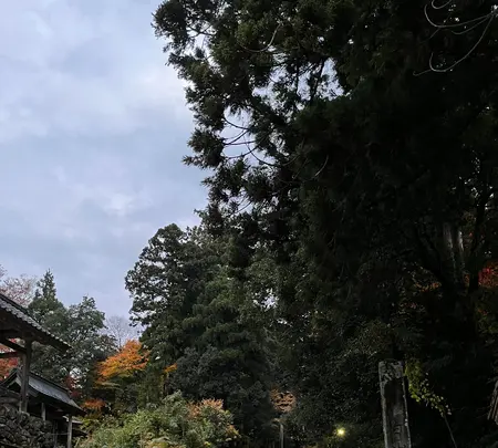 平泉寺白山神社の写真・動画_image_564570