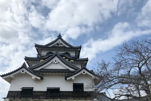 彦根城の写真・動画_image_564980