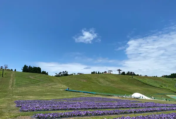 びわこ函館山663㎡の写真・動画_image_565010