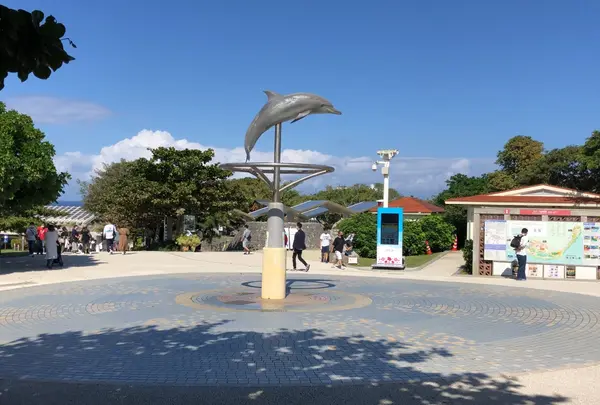 沖縄美ら海水族館の写真・動画_image_571338