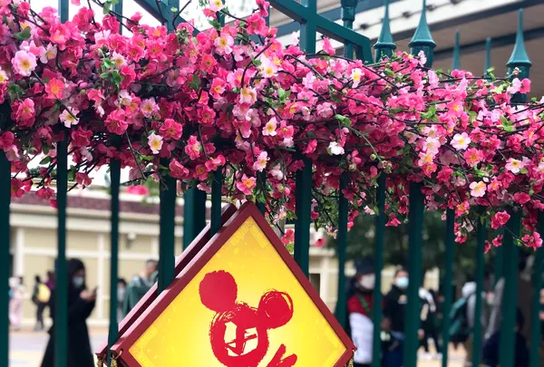 香港ディズニーランド（Hong Kong Disneyland）の写真・動画_image_578214