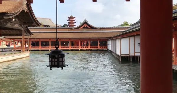 厳島神社の写真・動画_image_584214