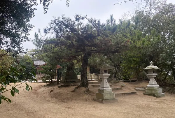 家プロジェクト 護王神社の写真・動画_image_586253