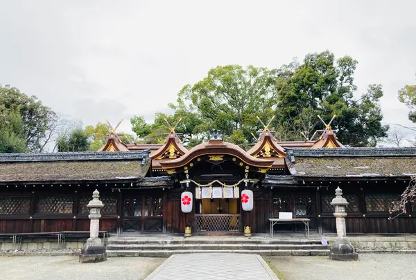 平野神社の写真・動画_image_592070