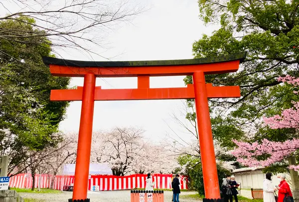 平野神社の写真・動画_image_592077