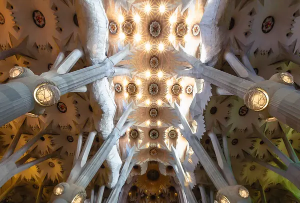 Sagrada Família（サグラダ・ファミリア聖堂）の写真・動画_image_592855