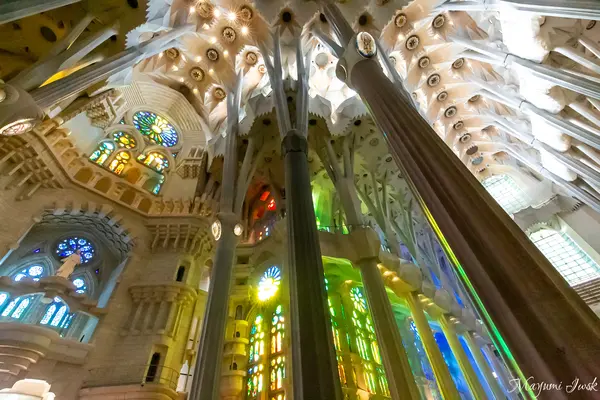 Sagrada Família（サグラダ・ファミリア聖堂）の写真・動画_image_592967