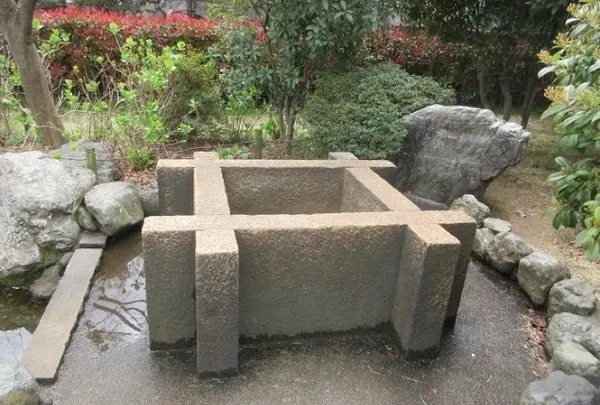桜井公園の写真・動画_image_593883