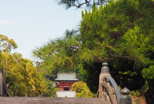 鶴岡八幡宮の写真・動画_image_594371