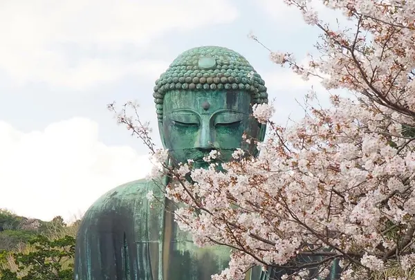 鎌倉大仏（高徳院）の写真・動画_image_594380