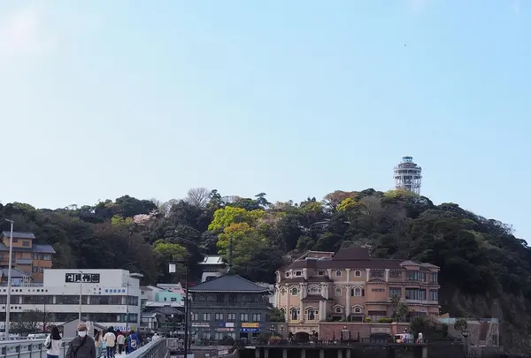 江ノ島弁天橋の写真・動画_image_594501