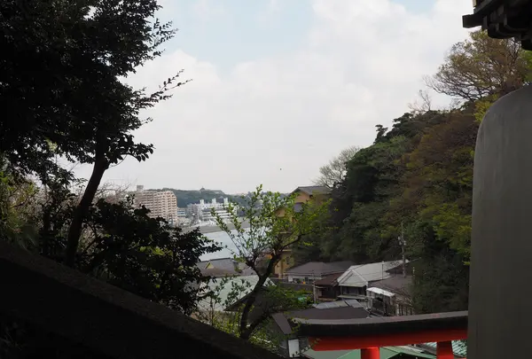 江島神社 辺津宮の写真・動画_image_594558