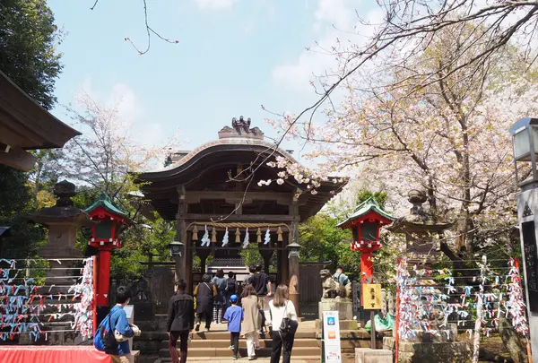 江島神社 辺津宮の写真・動画_image_594561