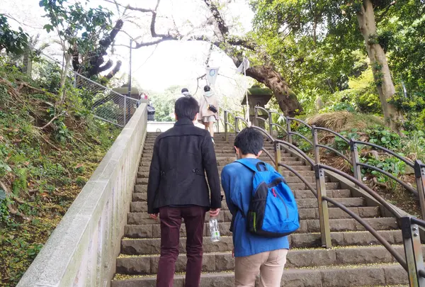 江島神社 辺津宮の写真・動画_image_594567