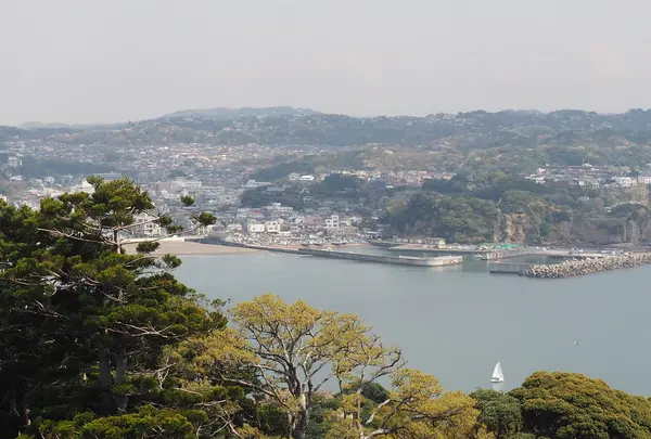 江の島シーキャンドルの写真・動画_image_594592