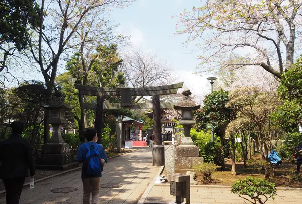 江島神社 辺津宮の写真・動画_image_594667
