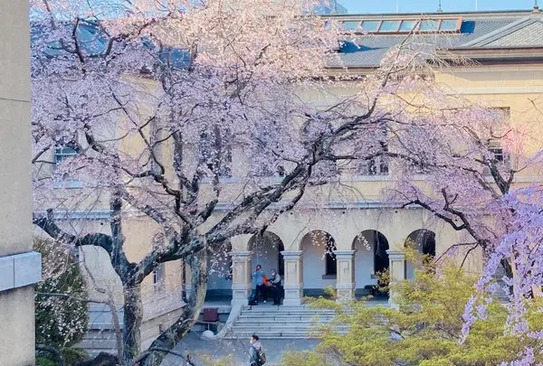 京都府庁 旧本館の写真・動画_image_596361