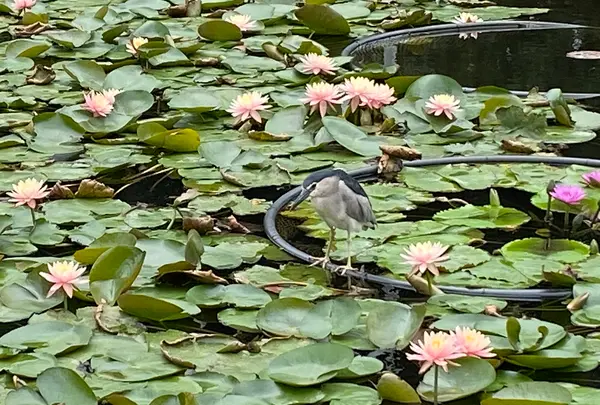 国立台湾芸術教育館の写真・動画_image_599873